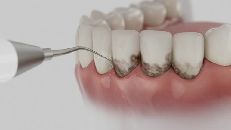 Reliable Dental contractor in Kingsland, GA by Dentist Open Now
